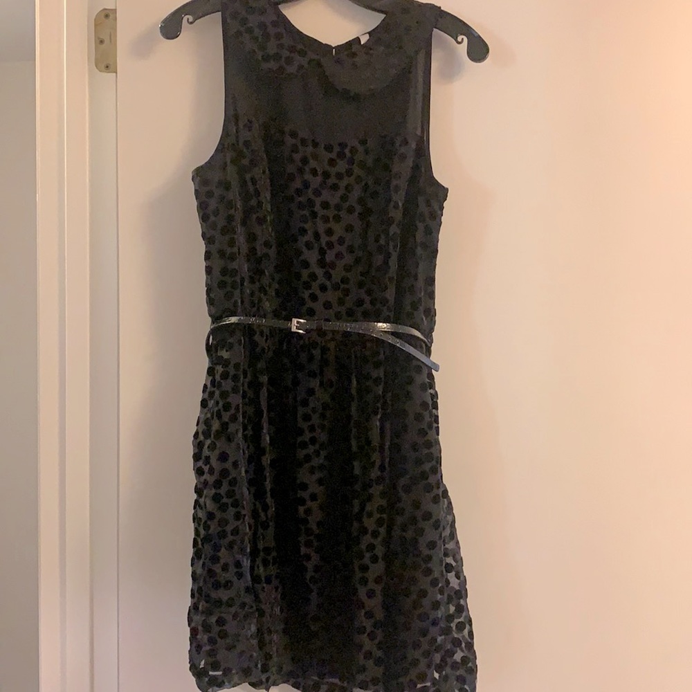 Kenzie LBD